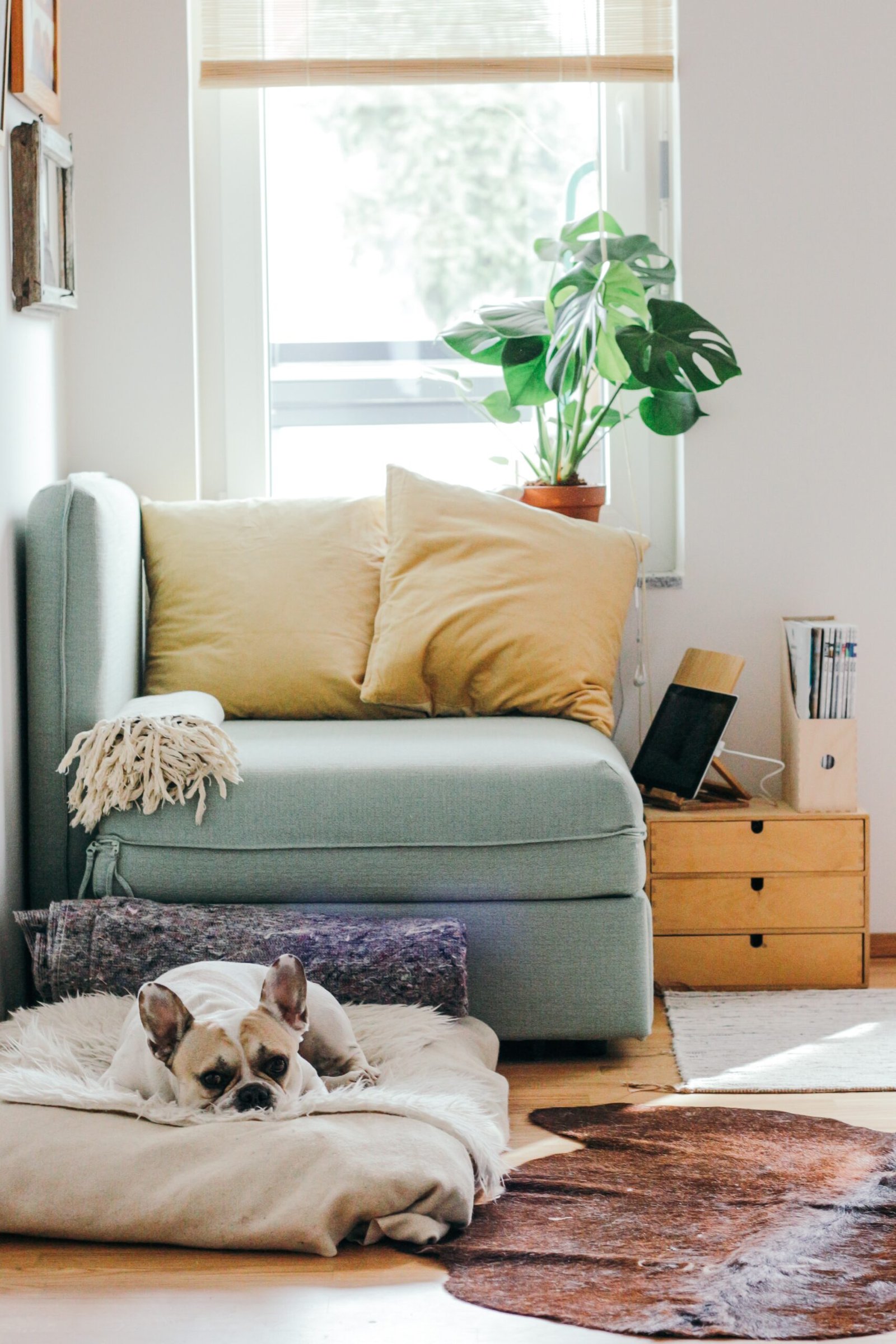 A Step-by-Step Guide to Effective Review Management for Home Theater Installers